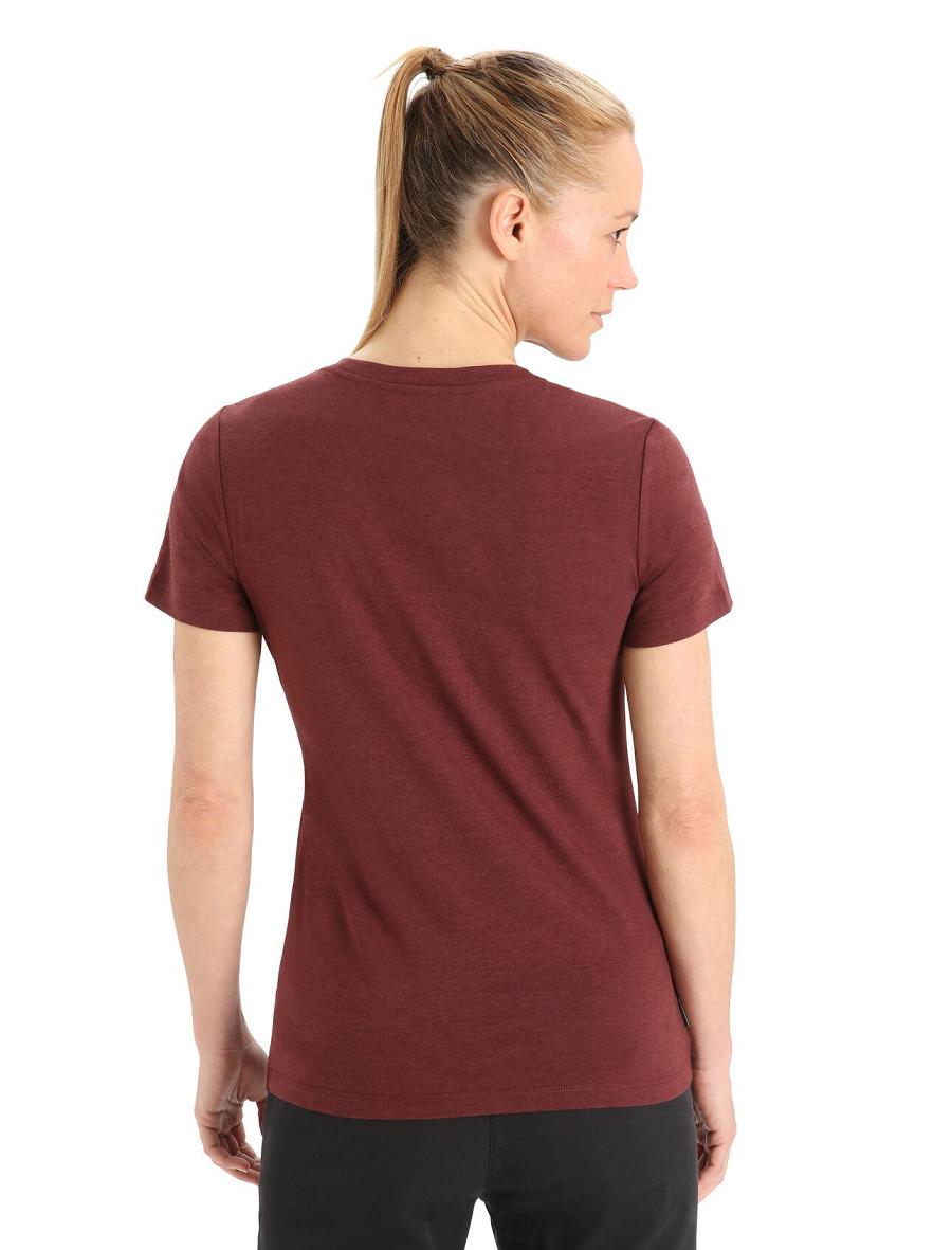 Espresso Icebreaker Merino Central Classic Short Sleeve Leaf Women's T Shirts | AU 1560HAPK